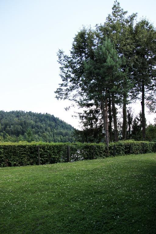 Lake House Apartment Medvode Exterior foto